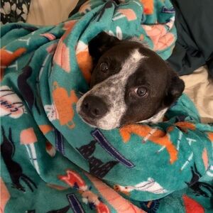 Meet your Posher, Maddie